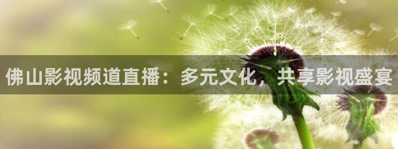 樱桃免费观看：佛山影视频道直播：多元文化，共享影视盛宴