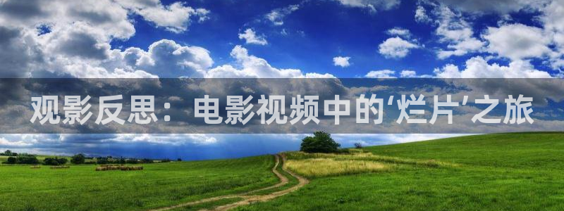 樱桃视频 免费：观影反思：电影视频中的‘烂片’之旅