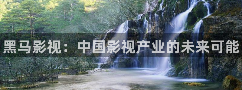 丝瓜樱桃草莓视频：黑马影视：中国影视产业的未来可能