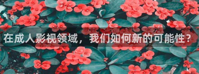 樱桃污视频在线：在成人影视领域，我们如何新的可能性？