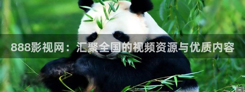 樱桃红视频在线观看：888影视网：汇聚全国的视频资源与优质内容