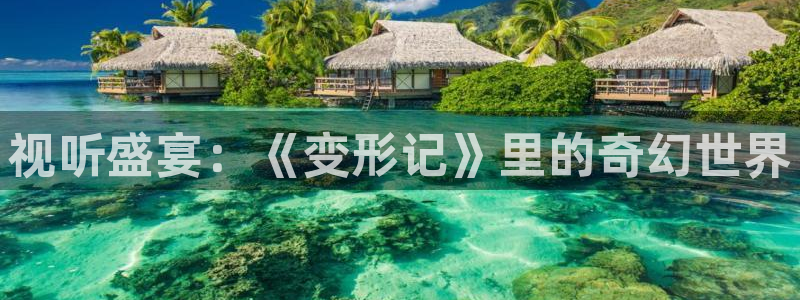 免费看樱桃小视频的入口：视听盛宴：《变形记》里的奇幻世界