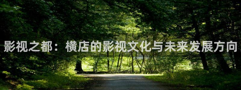 樱桃电影完整在线观看：影视之都：横店的影视文化与未来发展方向