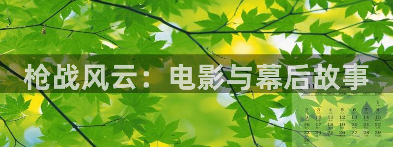 樱桃电视剧在线观看正版：枪战风云：电影与幕后故事