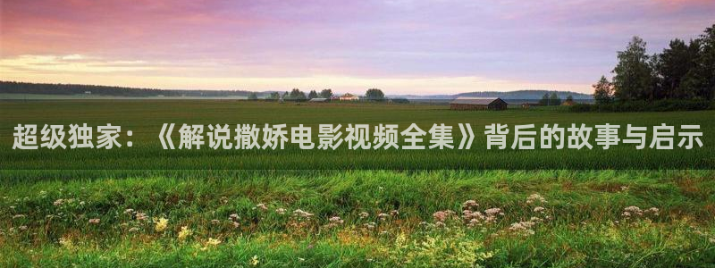 樱桃视频大全在线免费观看：超级独家：《解说撒娇电影视频全集》背后的故事与启示