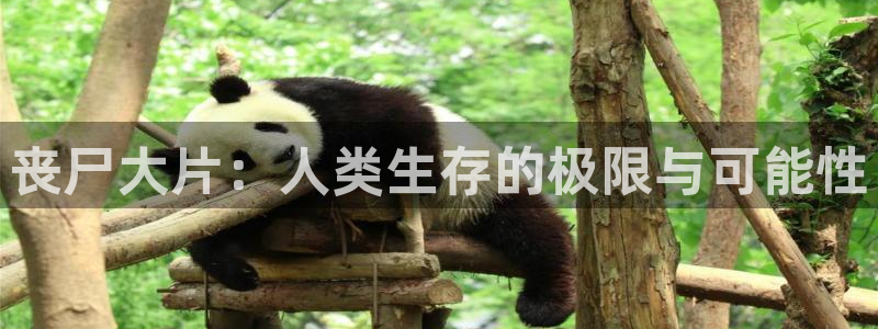 樱桃视频资源：丧尸大片：人类生存的极限与可能性