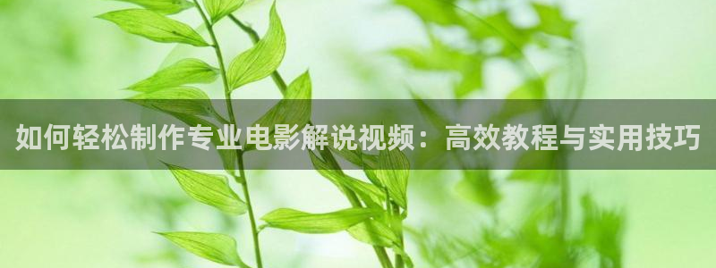 樱桃视频成：如何轻松制作专业电影解说视频：高效教程与实用技巧