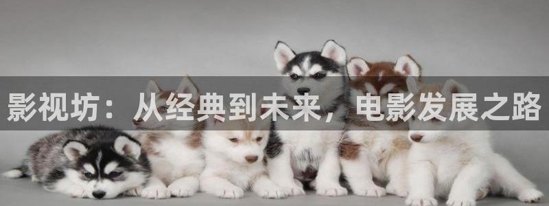 樱桃视频大全精品：影视坊：从经典到未来，电影发展之路