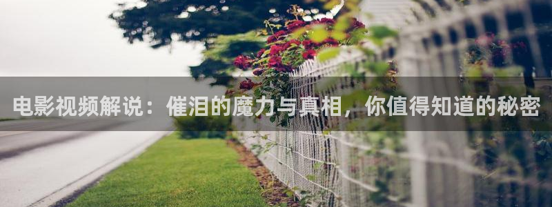 樱桃视频入口在线看