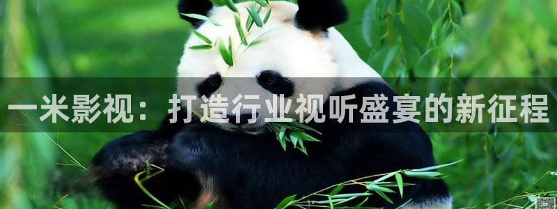 樱桃免费高清电视剧：一米影视：打造行业视听盛宴的新征程