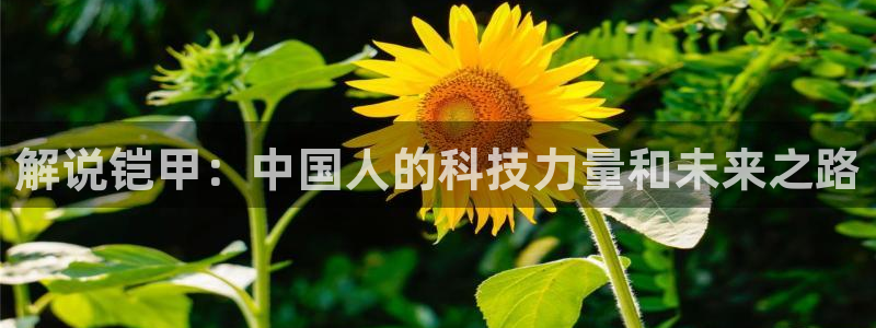 樱桃视频接口怎么接：解说铠甲：中国人的科技力量和未来之路