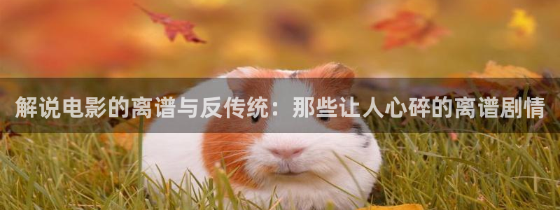 樱桃视频在线看黄：解说电影的离谱与反传统：那些让人心碎的离谱剧情