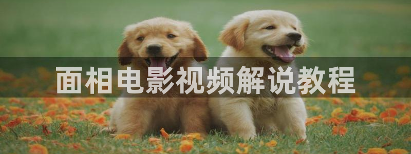 樱桃在线观看电视剧大全：面相电影视频解说教程
