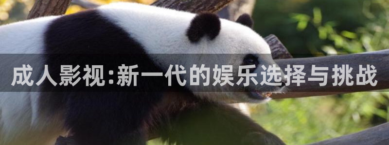 苗圃演的樱桃电影：成人影视:新一代的娱乐选择与挑战