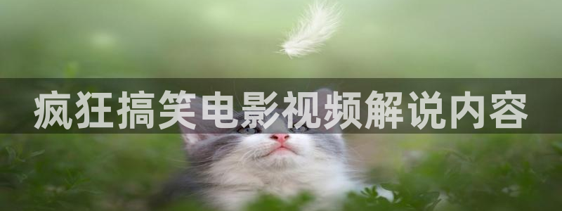 樱桃视频污版：疯狂搞笑电影视频解说内容