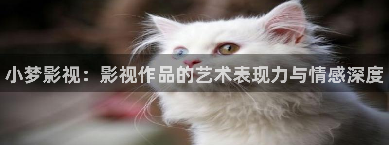 樱桃小视频樱桃短视频18：小梦影视：影视作品的艺术表现力与情感深度