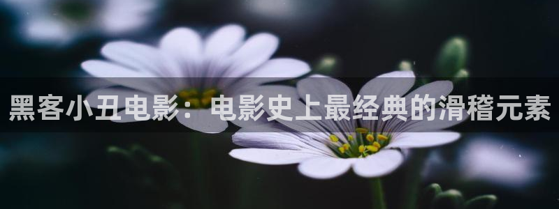 红樱桃影视：黑客小丑电影：电影史上最经典的滑稽元素