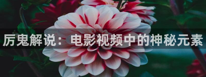 樱桃视频在线直播：厉鬼解说：电影视频中的神秘元素