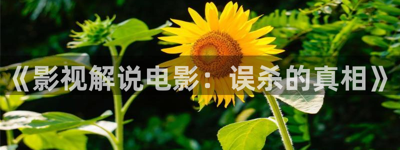 ad474樱桃小视频：《影视解说电影：误杀的真相》