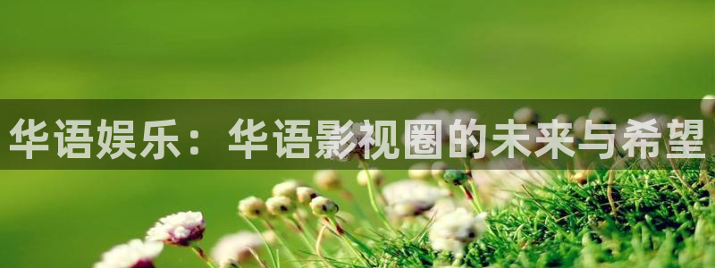www.19樱桃视频：华语娱乐：华语影视圈的未来与希望