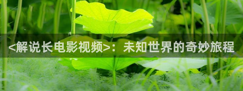 樱桃漫画免费阅读看漫画下拉入口：<解说长电影视频>：未知世界的奇妙旅程