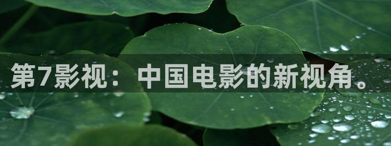 www.19樱桃视频：第7影视：中国电影的新视角。