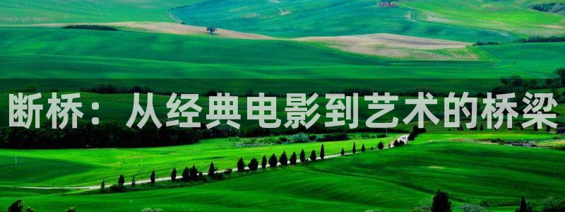 樱桃视频后入：断桥：从经典电影到艺术的桥梁