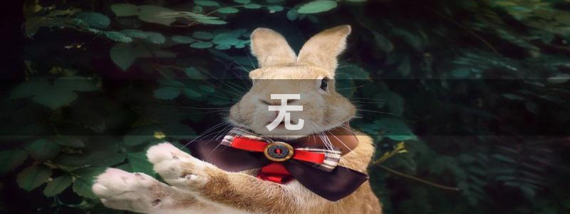 樱桃网在线观看电视剧免费全集：无