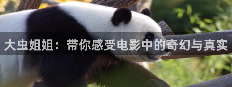 www.樱桃视频..com：大虫姐姐：带你感受电影中的奇幻与真实