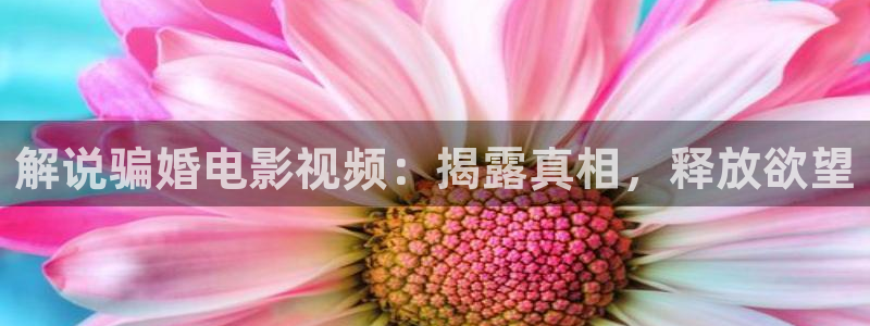 樱桃红电视剧免费观看完整版