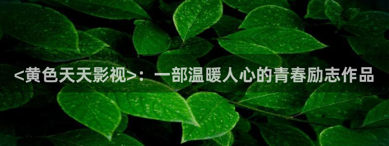 湖北樱桃：<黄色天天影视>：一部温暖人心的青春励志作品