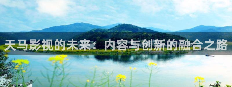 免费樱桃视频：天马影视的未来：内容与创新的融合之路