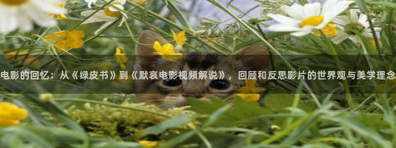樱桃视：电影的回忆：从《绿皮书》到《默哀电影视频解说》，回顾和反思影片的世界观与美学理念