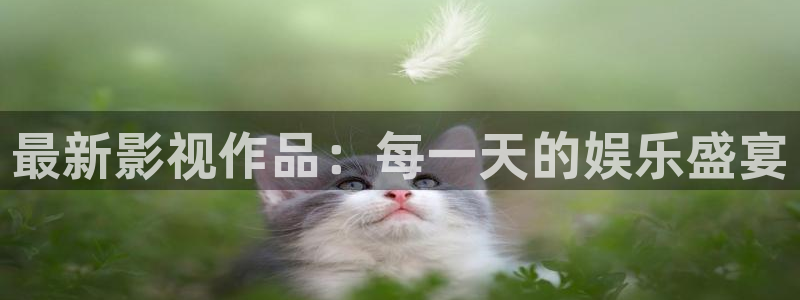 樱桃小视频.：最新影视作品：每一天的娱乐盛宴