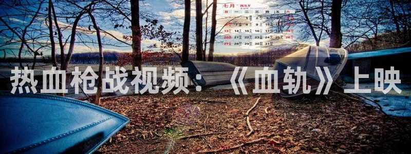 樱桃视频接口怎么接：热血枪战视频：《血轨》上映