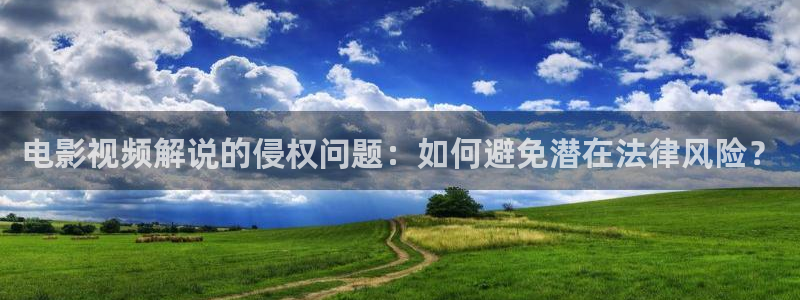樱桃在线播放电视剧：电影视频解说的侵权问题：如何避免潜在法律风险？
