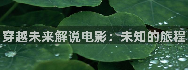 樱桃电视剧免费观看影视大全：穿越未来解说电影：未知的旅程